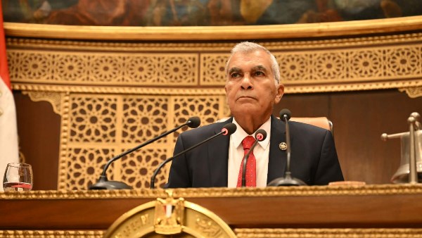 المستشار عصام الدين فريد، رئيس مجلس الشيوخ