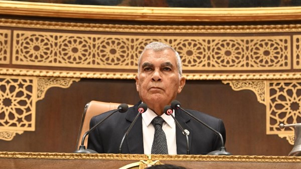  المستشار عصام الدين فريد رئيس مجلس الشيوخ