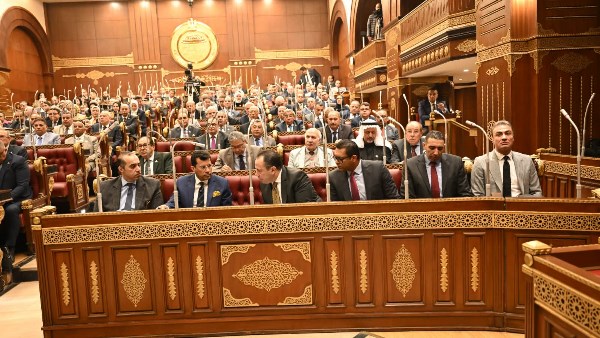 مناقشات داخل جلسة الشيوخ حول تعديل قانون نقابة المهن الرياضية