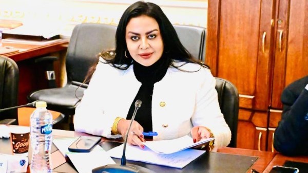 النائبة الدكتورة نيفين حمدي، عضو لجنة الشؤون الأفريقية بمجلس النواب