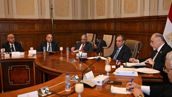 وزير الخارجية يحضر اجتماع حقوق إنسان الشيوخ