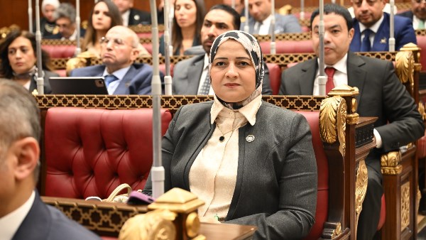 مروة قنصوة، أمين سر لجنة الطاقة بالشيوخ 