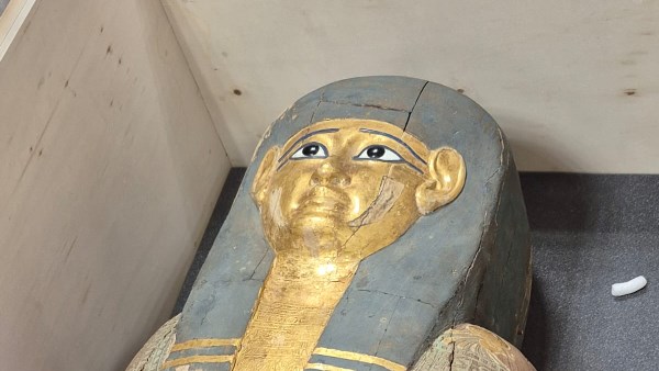 مصر تستعيد قطعتين أثريتين من بلجيكا