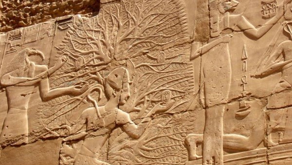 شجرة عيد الميلاد