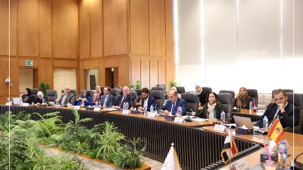 الدكتور أيمن عاشور 