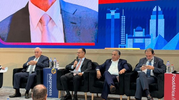 أشرف الجزايرلي 