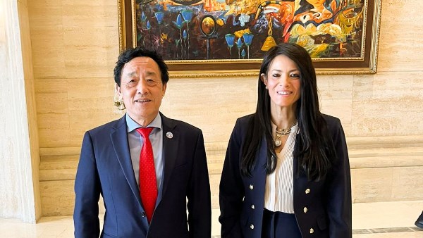 وزيرة التخطيط