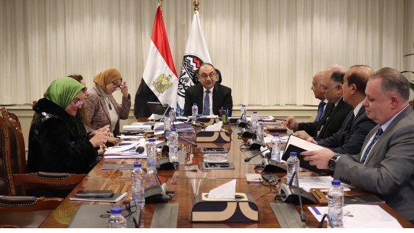 وزير قطاع الأعمال 