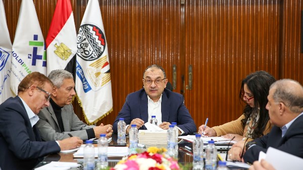 وزير قطاع الأعمال العام 