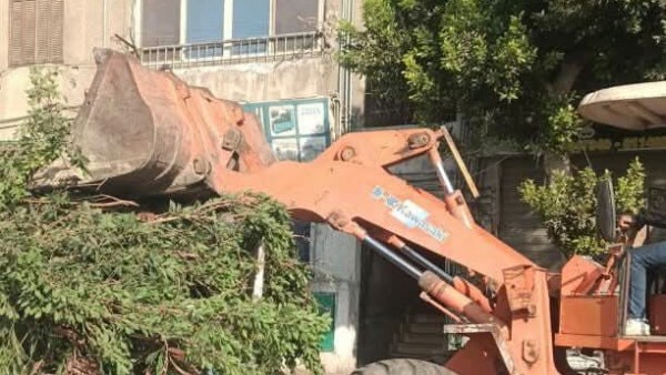 القاهرة الجديدة 