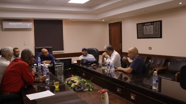 رئيس قطاع الفنون التشكيلية 