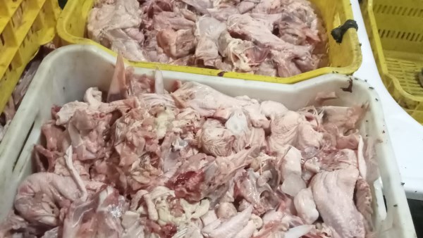 ضبط 45 طن دواجن ولحوم فاسدة ومذبوحة خارج المجازر بالجيزة ضبط 45 طن دواجن ولحوم فاسدة ومذبوحة خارج المجازر بالجيزة