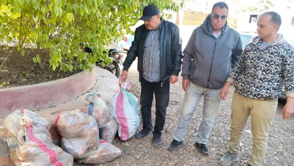 محافظة المنوفية 