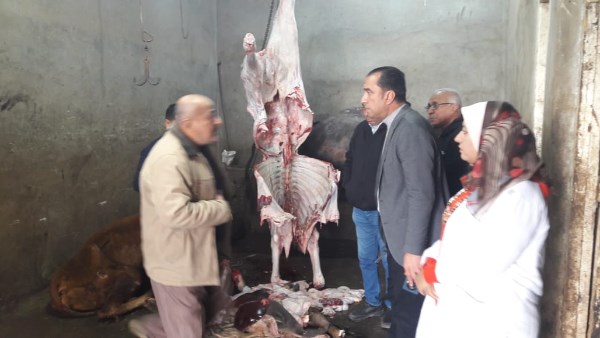 ذبح حيوانات مريضة خارج المجازر الحكومية