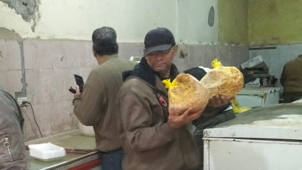 حملات مكثفة في المنوفية 