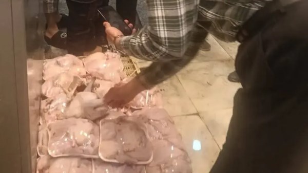 الدواجن السردة