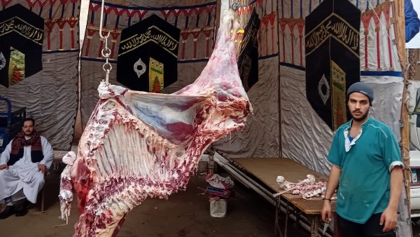 فتح منافذ جديدة لبيع اللحوم البلدية بأسعار مخفضة 