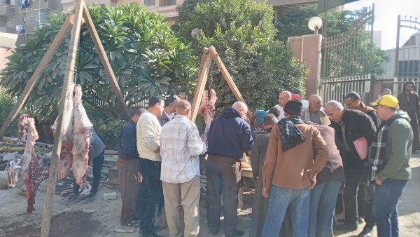 طرح لحوم طازجة بسعر 290 جنيهًا للكيلو بمنفذ القوصية