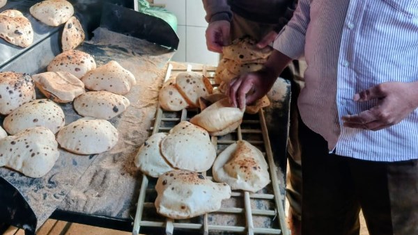  تحرير 323 محضر تمويني خلال حملات مكثفة بالمراكز والأحياء بأسيوط 