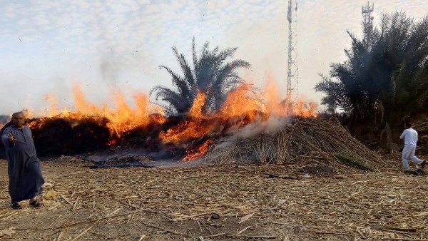 جانب من الحادث بسوهاج