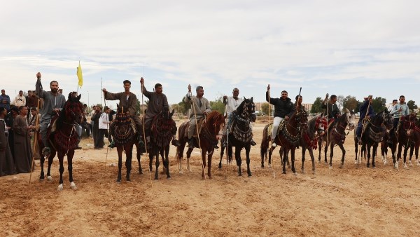 مهرجان الفروسية الأول بجامعة قنا 