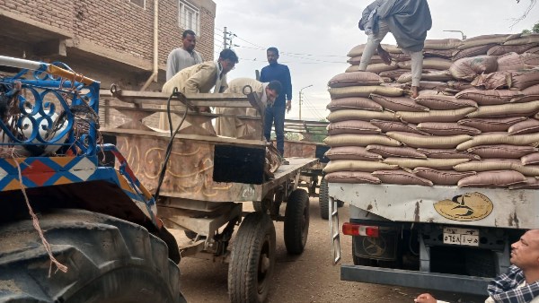 انطلاق المرحلة الثانية من تسليم تقاوي القمح في الأقصر ضمن مبادرة "ازرع" تحت مظلة التحالف الوطني  الأقصر