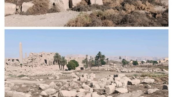 إزالة العاقول والحشائش من داخل وخارج معبد الكرنك لحماية الآثار ومنع أي مخاطر محتملة بالأقصر