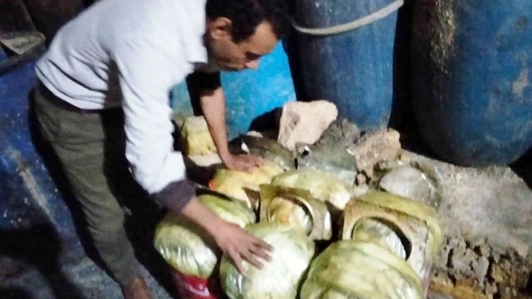 جهود بيطرى أسوان