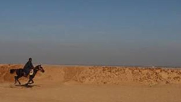 جهود متنوعة