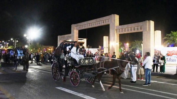 جهود محافظة أسوان