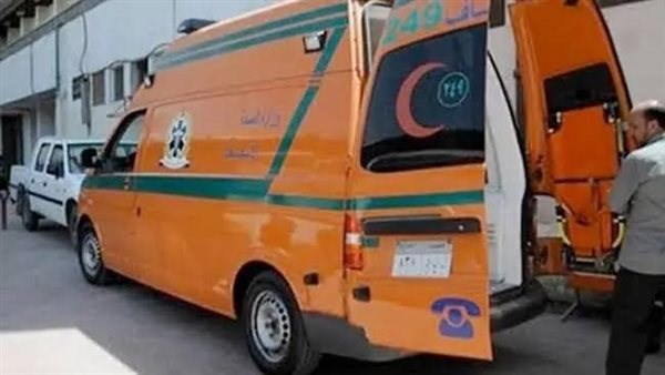 مصرع شخصين فى حادث دهس قطار أثناء عبورهما لشريط السكة الحديد بأسوان مصرع شخصين فى حادث دهس قطار أثناء عبورهما لشريط السكة الحديد بأسوان