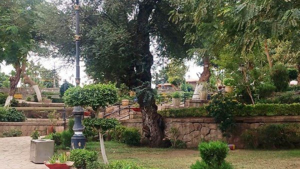 جهود محافظة أسوان