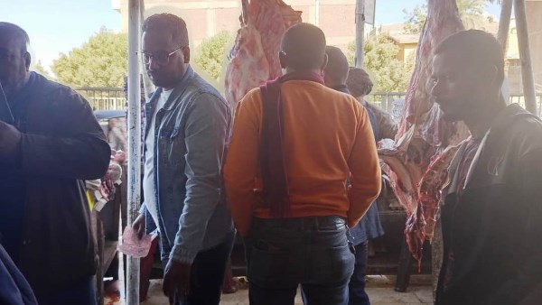 جهود الطب البيطرى بأسوان