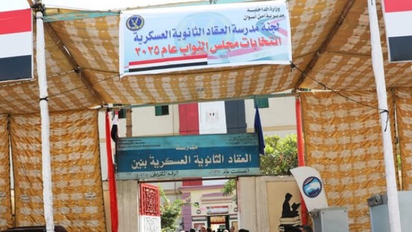 جهود محافظة أسوان