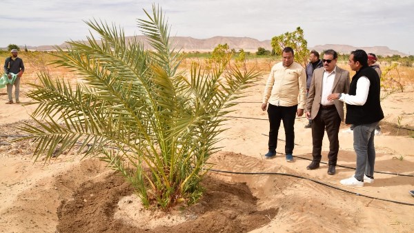 جانب من الحدث