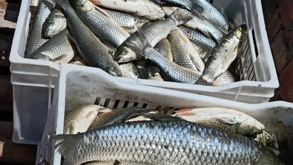 اسعاف ارشيفيه 