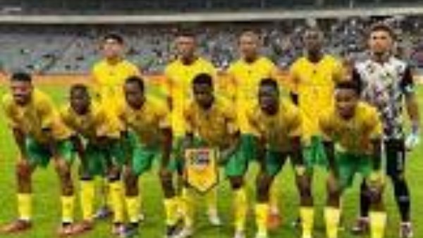 منتخب جنوب إفريقيا 