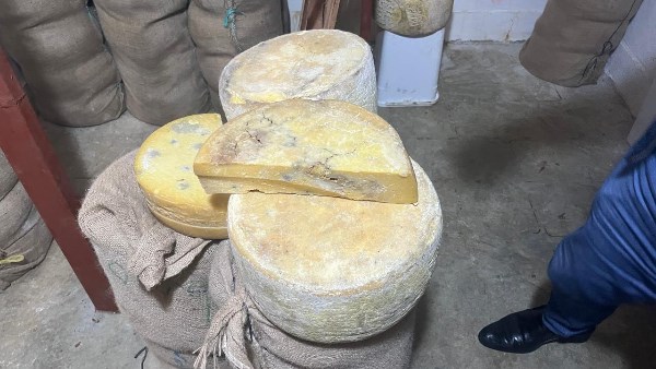 ضبط اجبان غير صالحة في الاستخدام