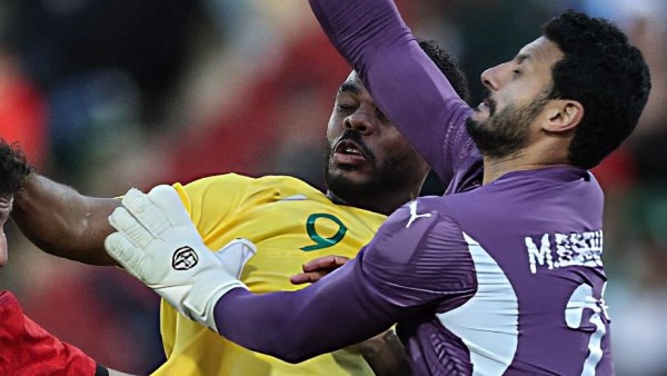 محمد الشناوي