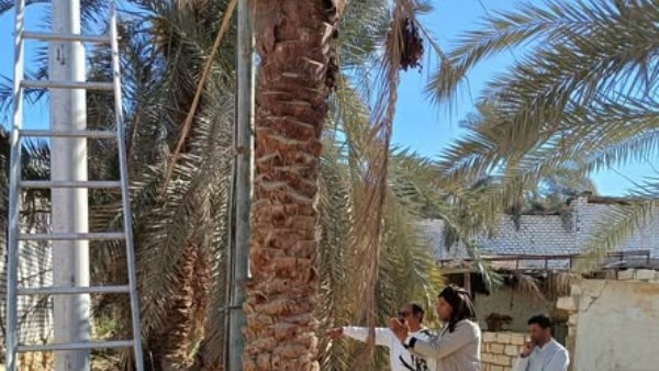 رئيس مدينة سيوة يتفقد اعمال التطوير بقطاع الكهرباء