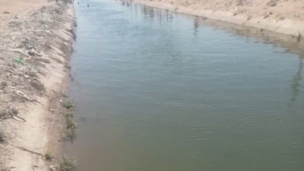 الاستزراع السمكى