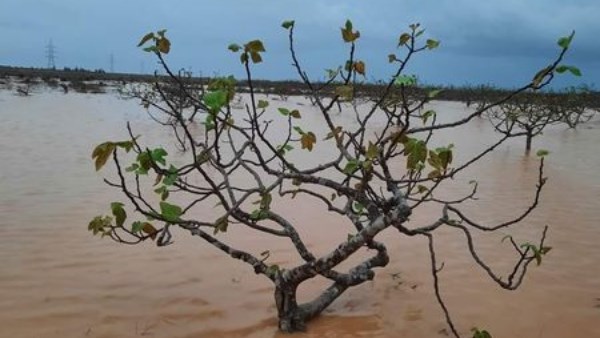 مياه الامطار
