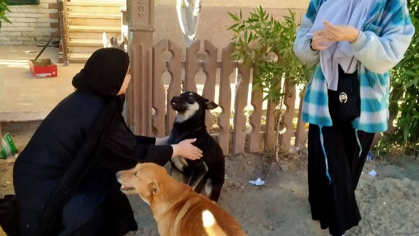 محافظة دمياط