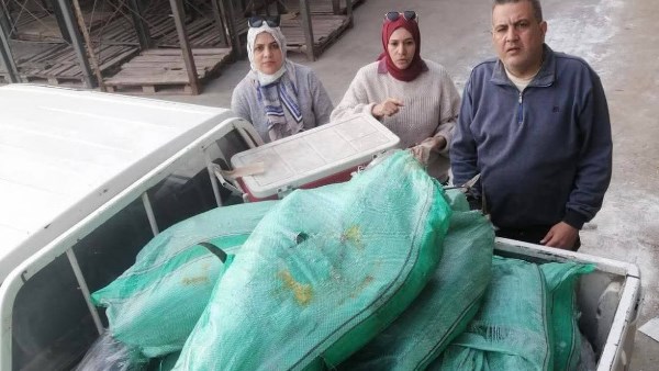 محافظة دمياط