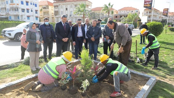 محافظ دمياط 