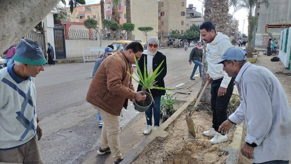 التشجير بدمياط