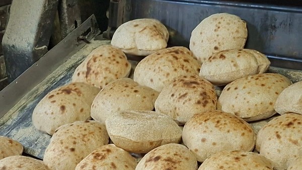 تحرير 71 مخالفة تموينية على المخابز والأنشطة التجارية بالقليوبية تحرير 71 مخالفة تموينية على المخابز والأنشطة التجارية بالقليوبية