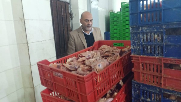ضبط 16 طن دواجن غير صالحة للاستهلاك الآدمي بالقليوبية.. صور