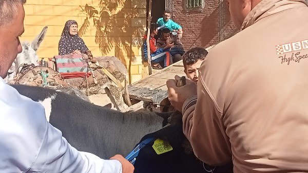 محافظ الغربية 