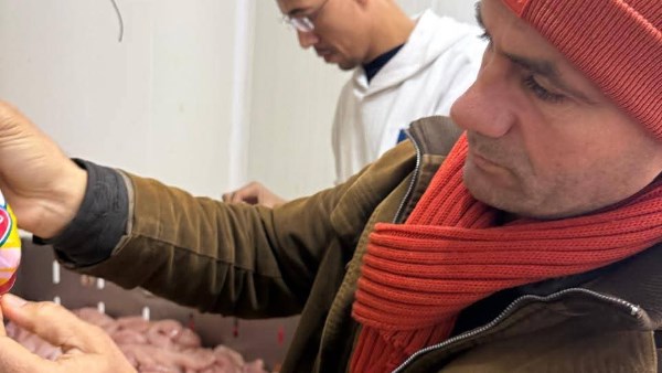 مصادرة 1425 كيلو لحوم ودواجن وأسماك مدخنة مصادرة 1425 كيلو لحوم ودواجن وأسماك مدخنة